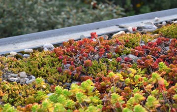 the cost of Halgabron green roof installation