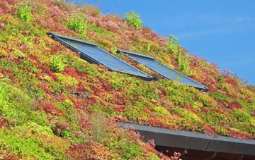 Halgabron living roof systems